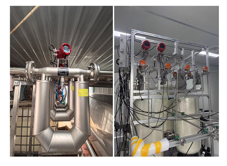 国产科氏力质量流量计品牌有哪些?