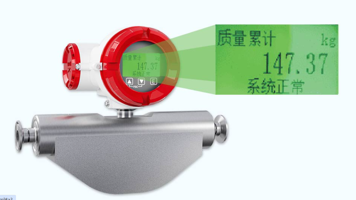 小流量质量流量计哪家好?